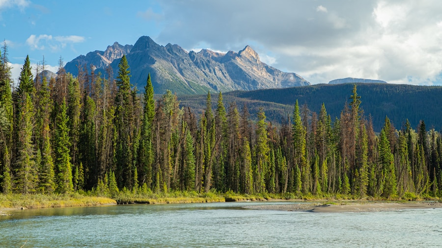 Icefields Parkway featuring mountains, a lake or waterhole and forest scenes