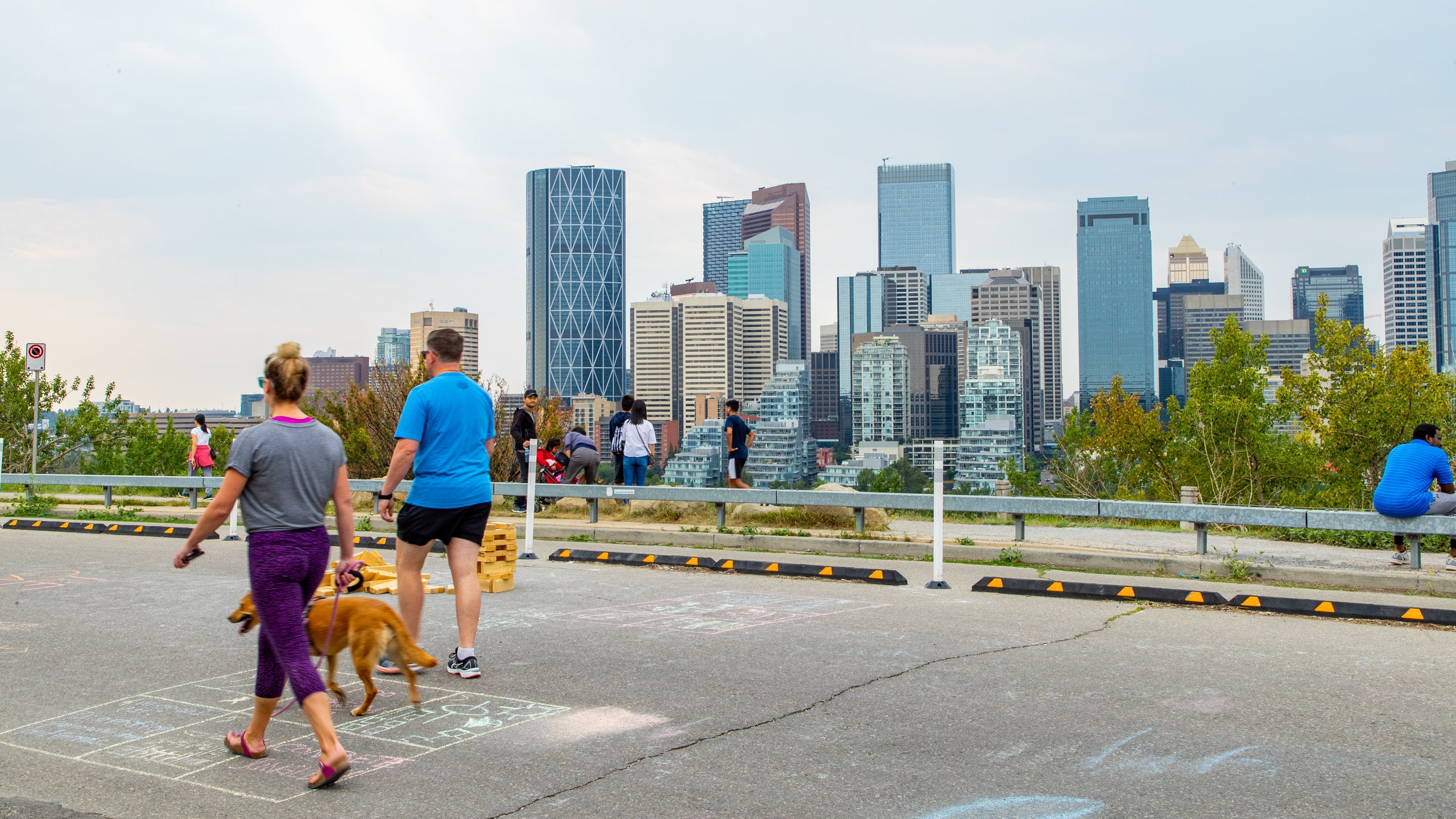 Bow River showing cuddly or friendly animals, street scenes and a city