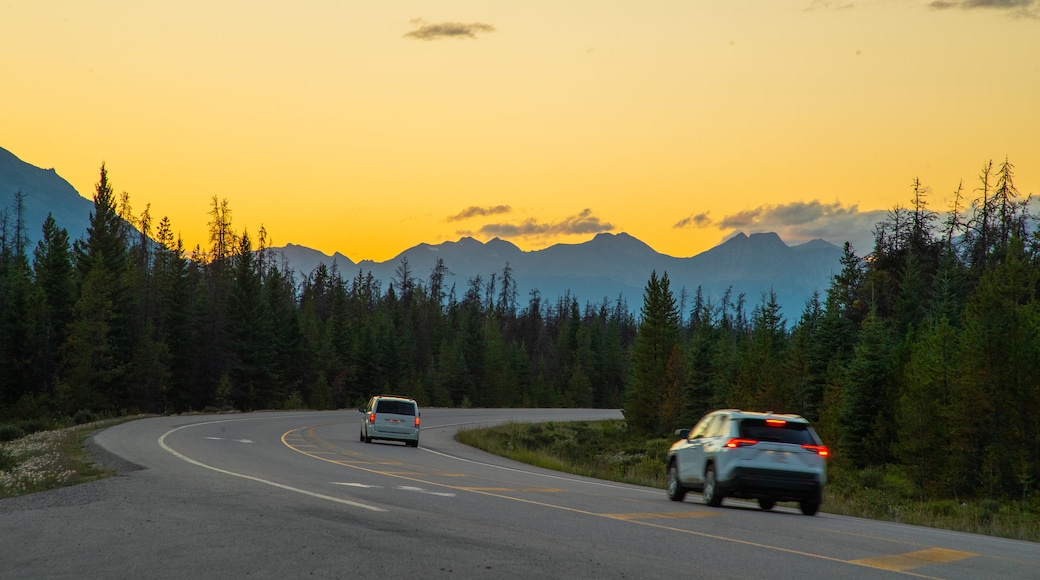 Icefields 大路