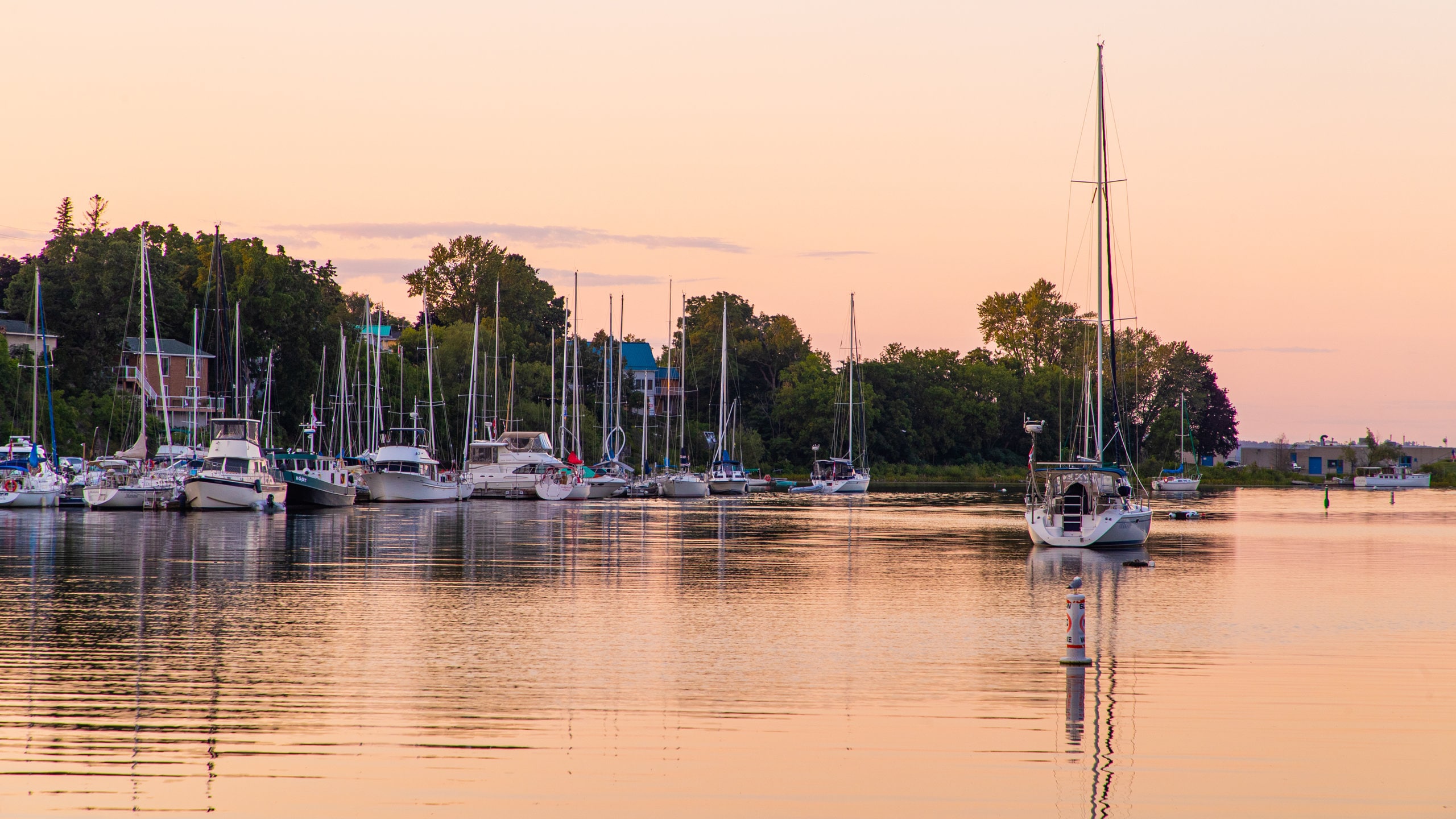 Top 20 Picton, Prince Edward condo and apartment rentals Vrbo