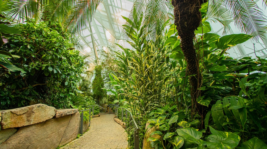 Butterfly Conservatory featuring interior views and a park