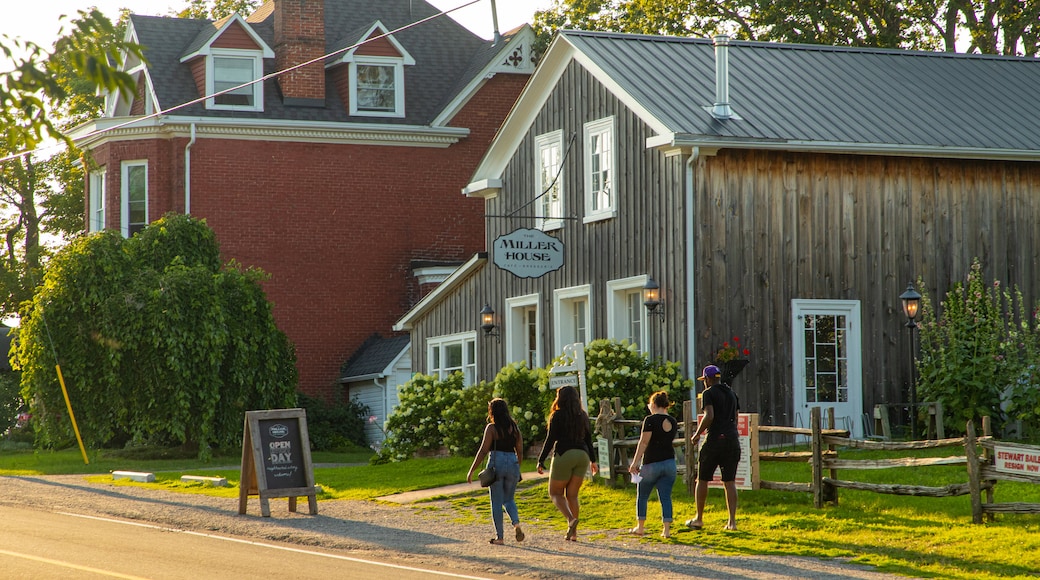 Picton featuring a sunset, a small town or village and street scenes