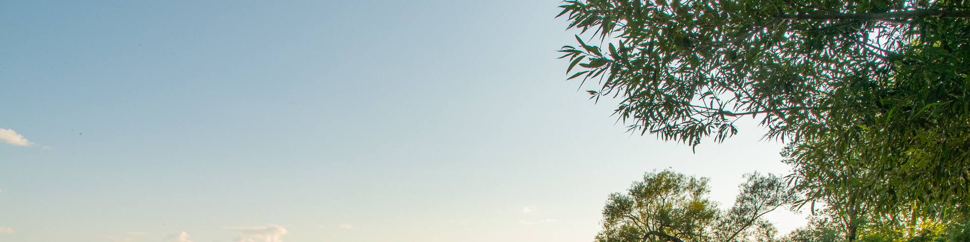 Lake on the Mountain Provincial Park showing a lake or waterhole and a sunset as well as an individual male
