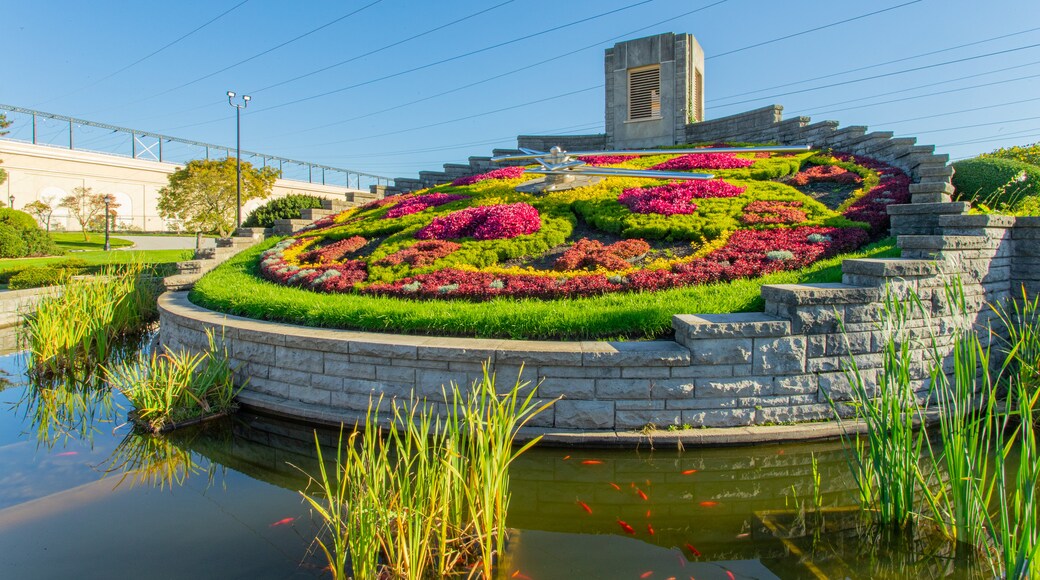 Floral Clock