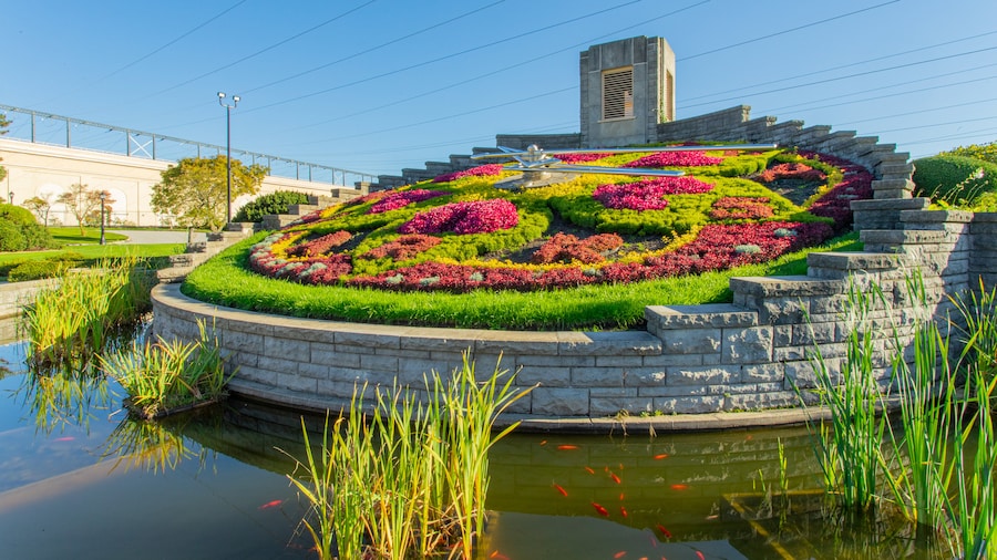 Floral Clock featuring a park, a pond and flowers