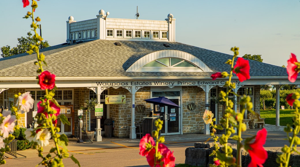 Waupoos Winery