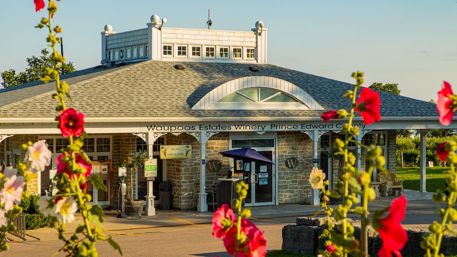 Waupoos Winery