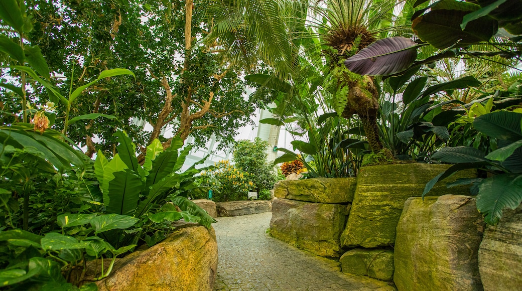 Butterfly Conservatory which includes a park