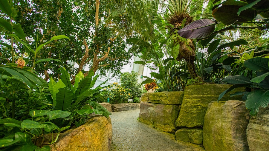 Butterfly Conservatory