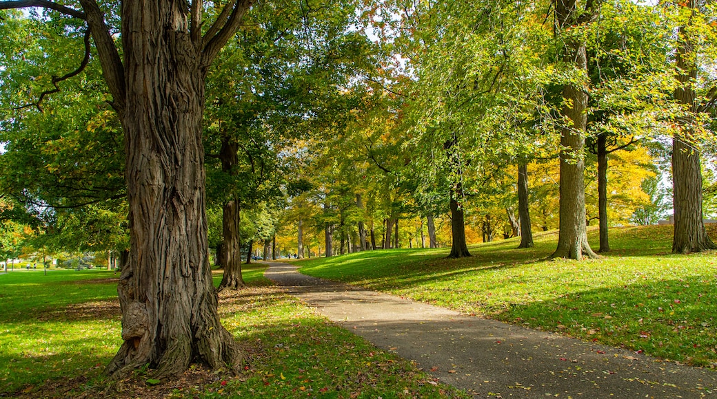 Queenston Heights Park which includes a park