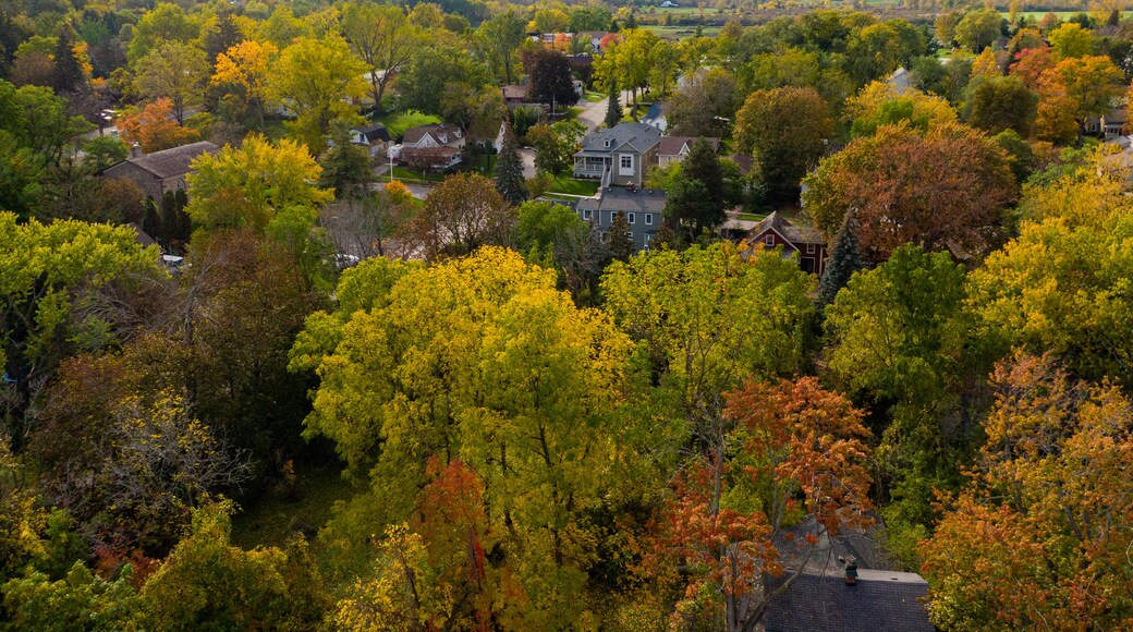 Queenston which includes a small town or village and landscape views