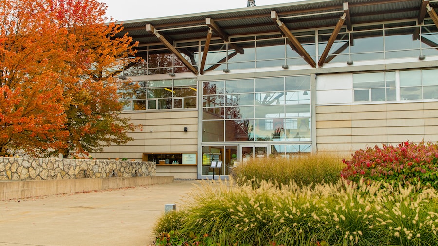 Jackson-Triggs Winery