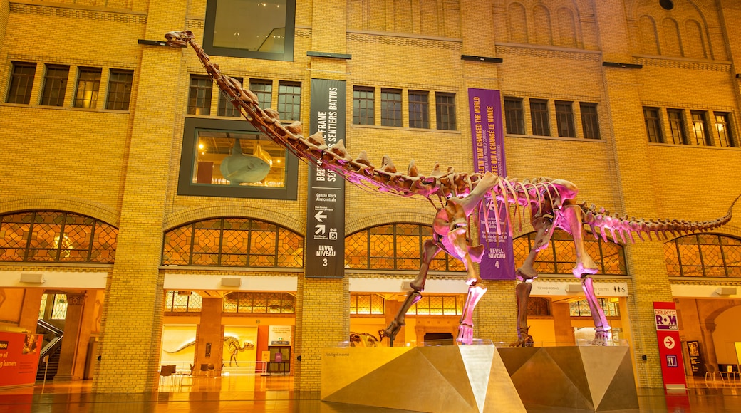 Royal Ontario Museum