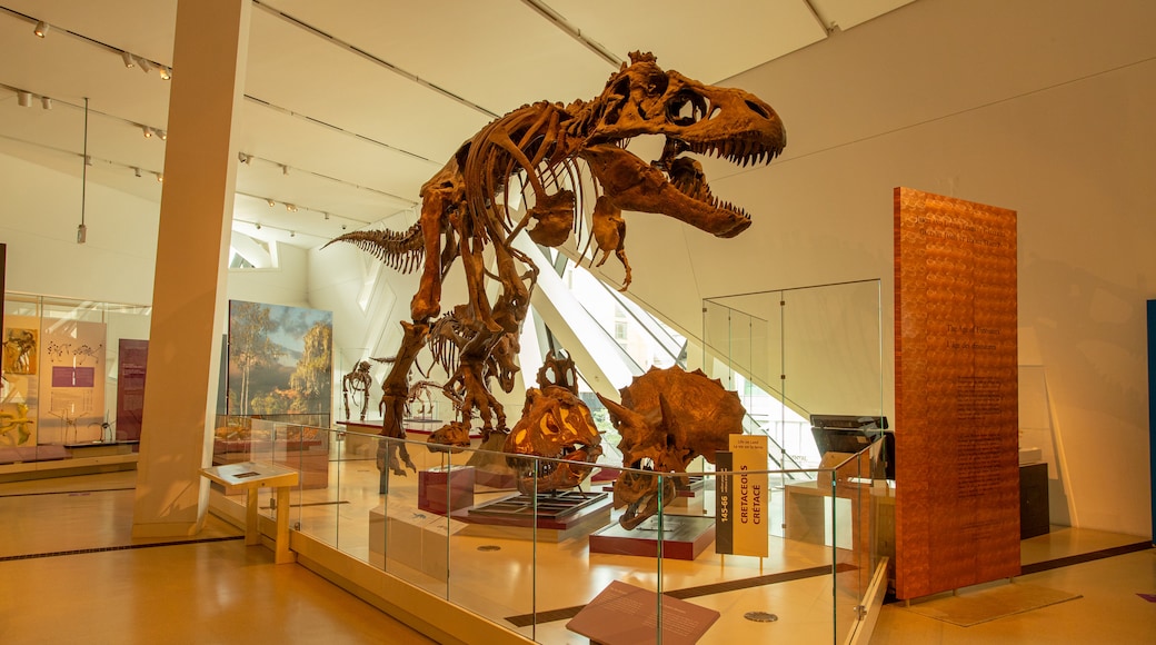 Royal Ontario Museum