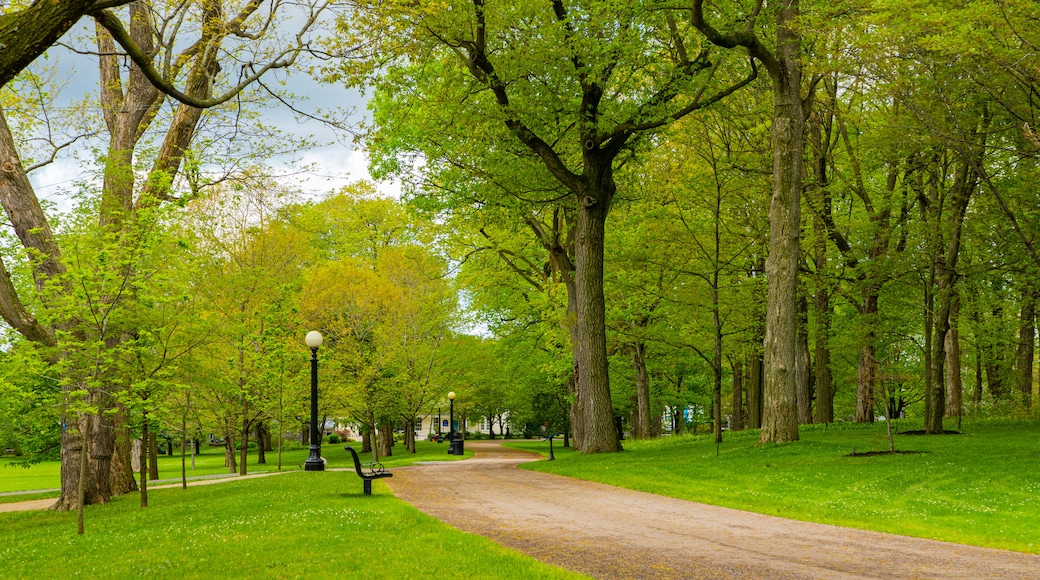 Rideau Hall which includes a garden