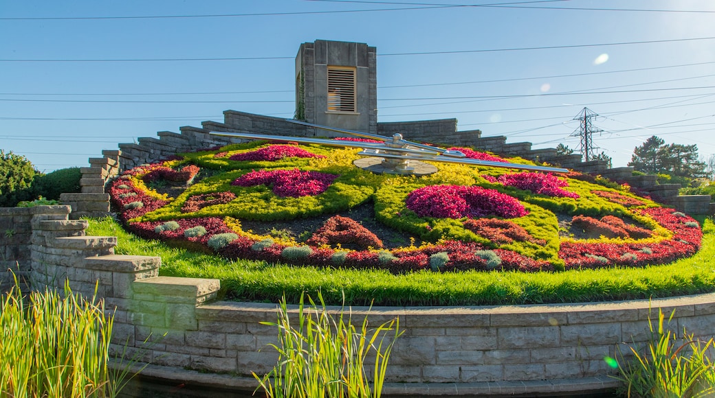 Floral Clock