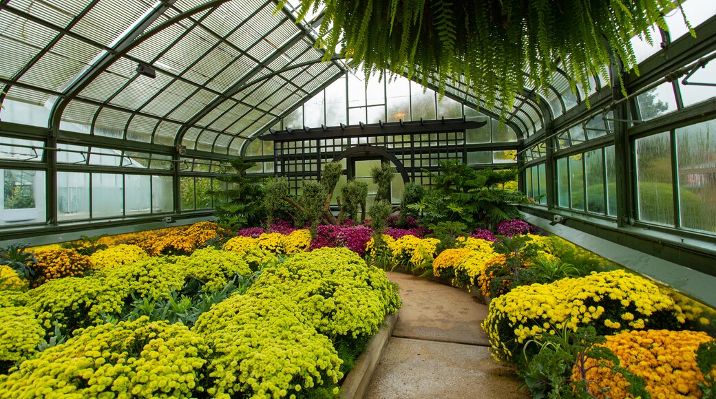Niagara Parks Floral Showhouse showing a park, interior views and flowers