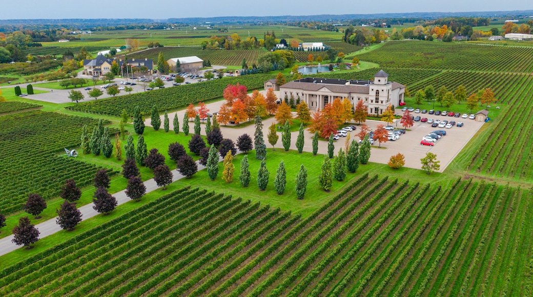 Niagara-on-the-Lake showing landscape views and heritage architecture