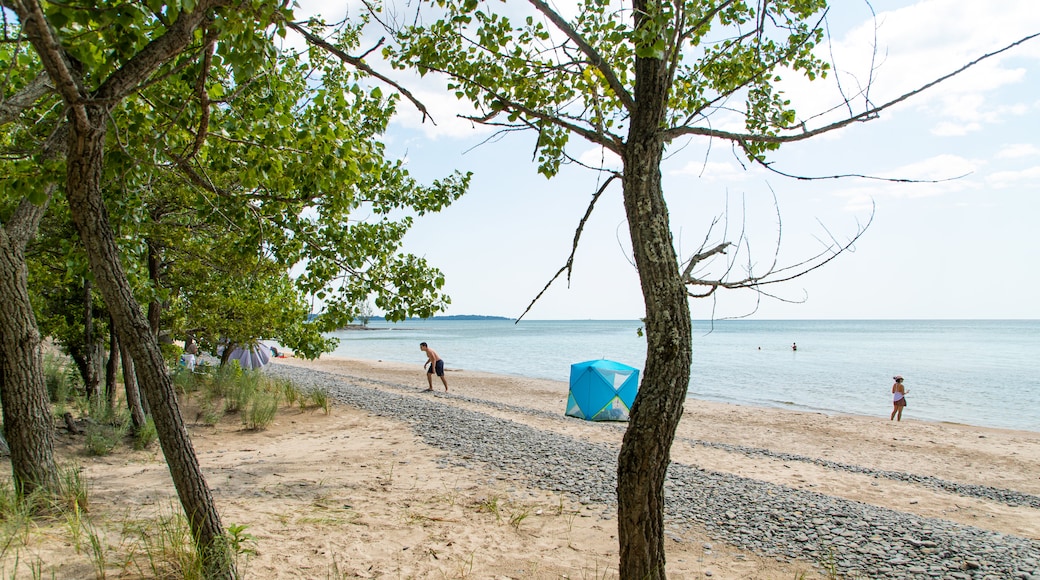 North Beach Provincial Park