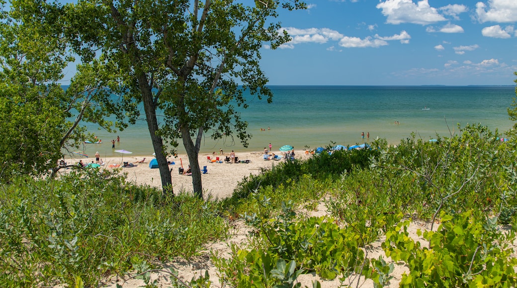 Sandbanks Provincial Park which includes a beach and general coastal views