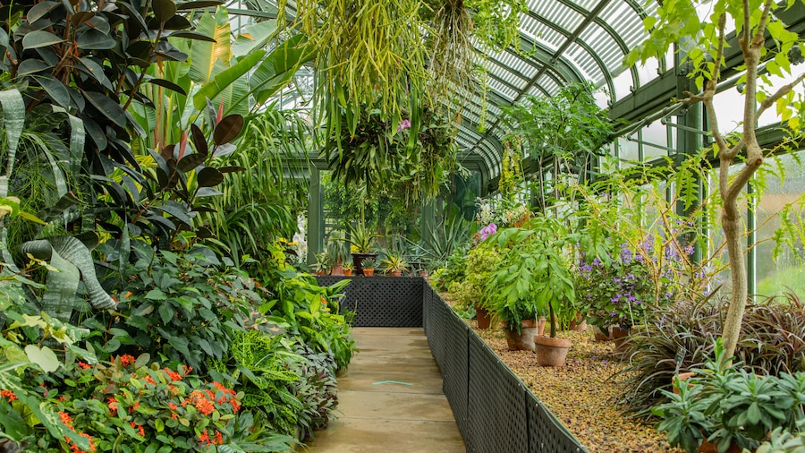Niagara Parks Floral Showhouse showing a park, flowers and interior views