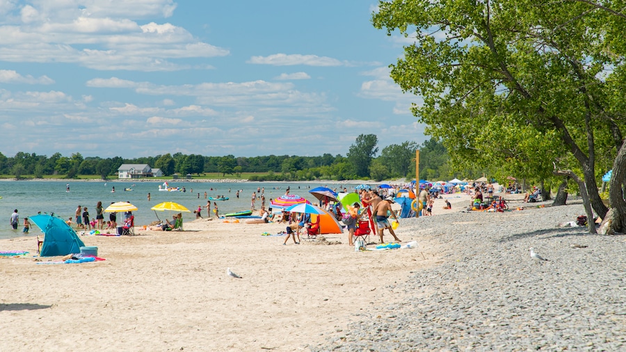 North Beach Provincial Park showing a sandy beach and general coastal views