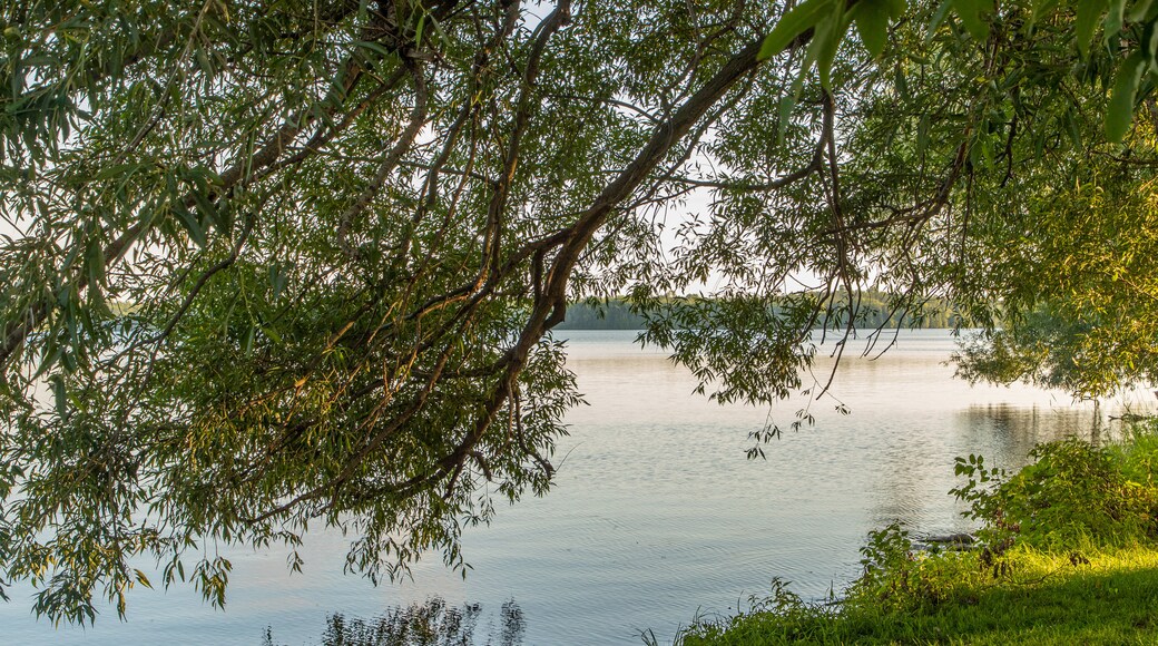Parc provincial Lake on the Mountain