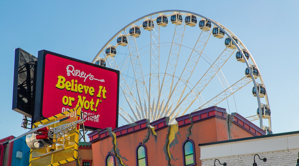 Clifton Hill