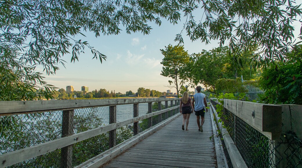 Voyageur Provincial Park