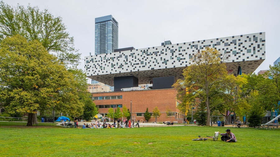 Ontario College of Art & Design University