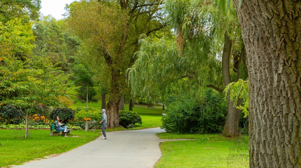 High Park