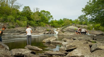 Hog\'s Back Falls which includes a river or creek