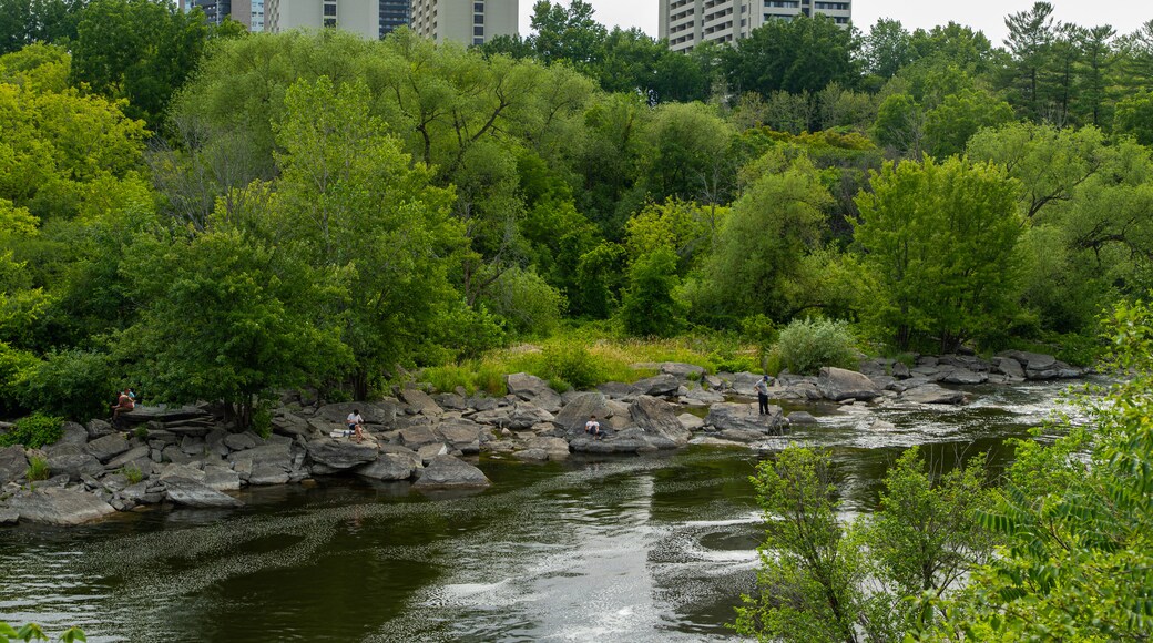 Hog\'s Back Falls which includes a river or creek