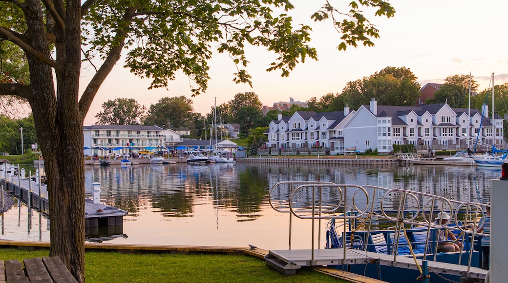 Picton