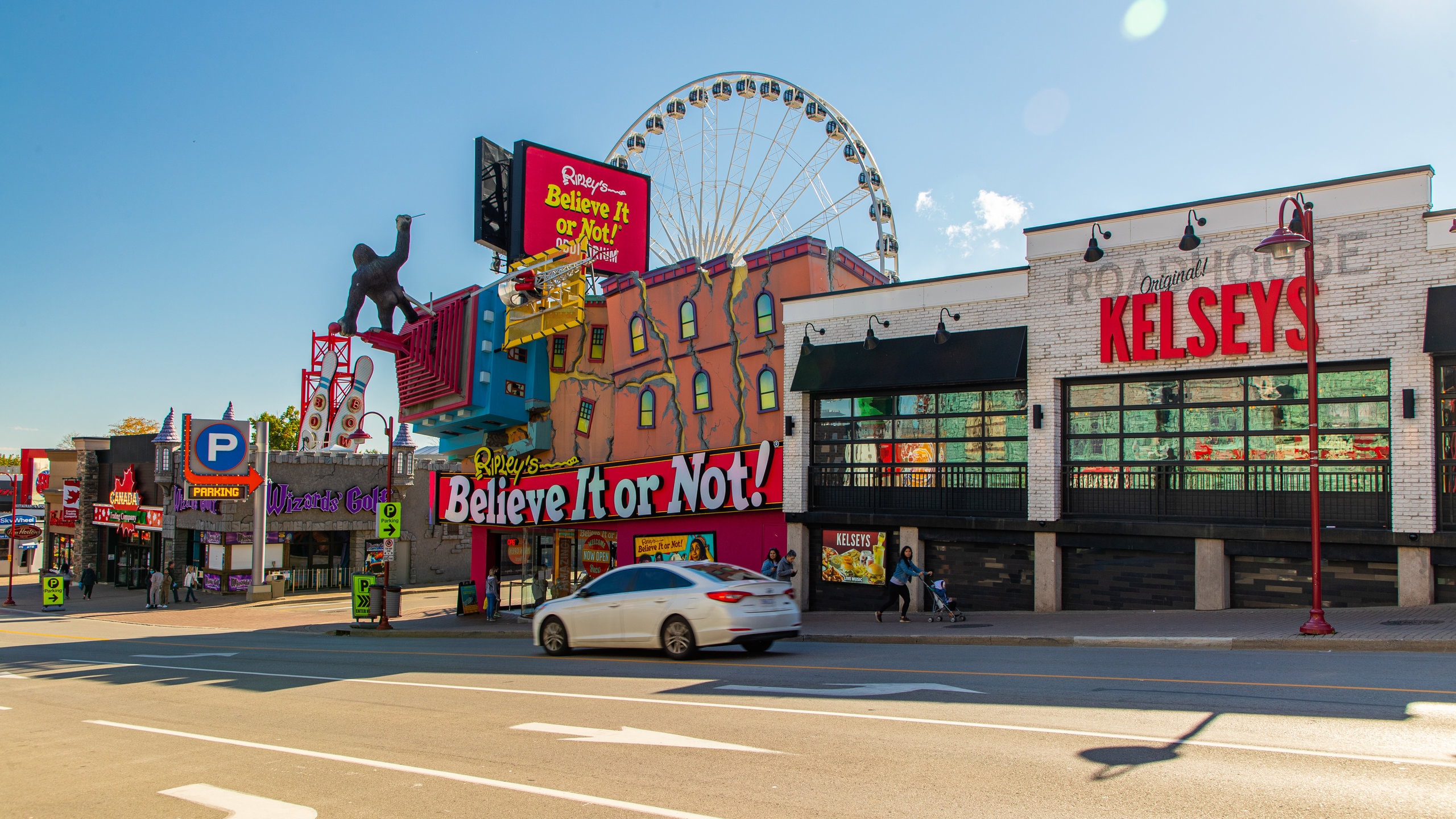 クリフトン ヒル (クリフトンヒル) - ツアーとアクティビティ | エクス