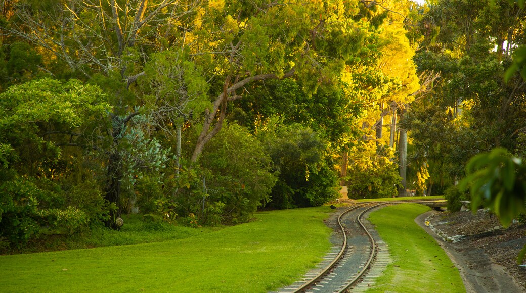 Bundaberg North