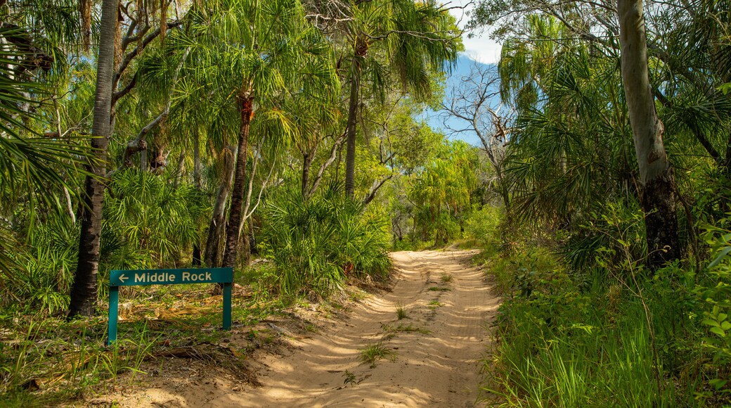 Parc national de Deepwater