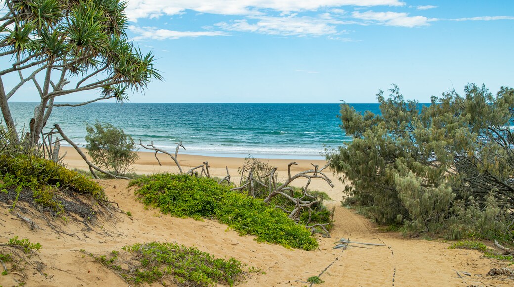 Parc national de Deepwater