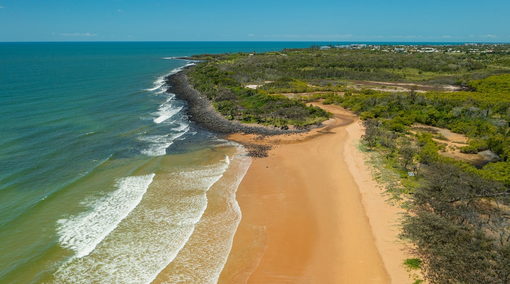 Mon Repos Beach