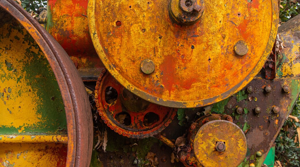 Gympie Gold Mining & Historical Museum