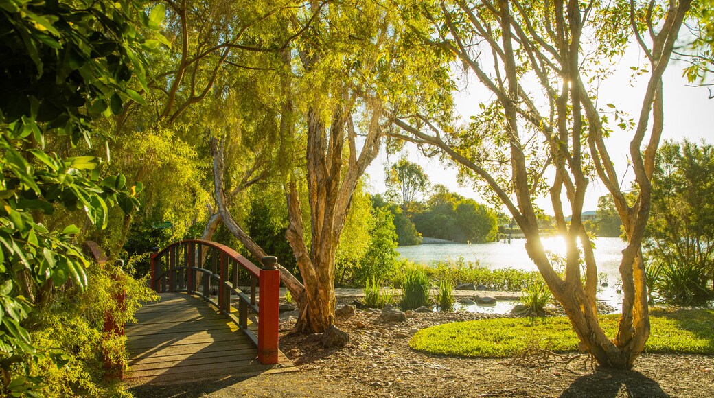 Bundaberg North
