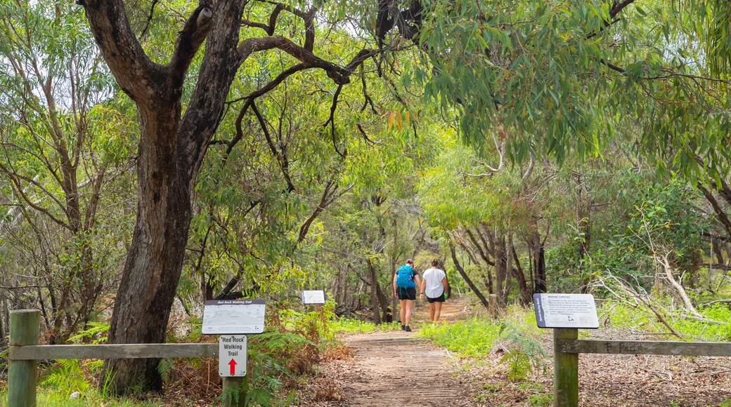 Red Rock Walking Trail