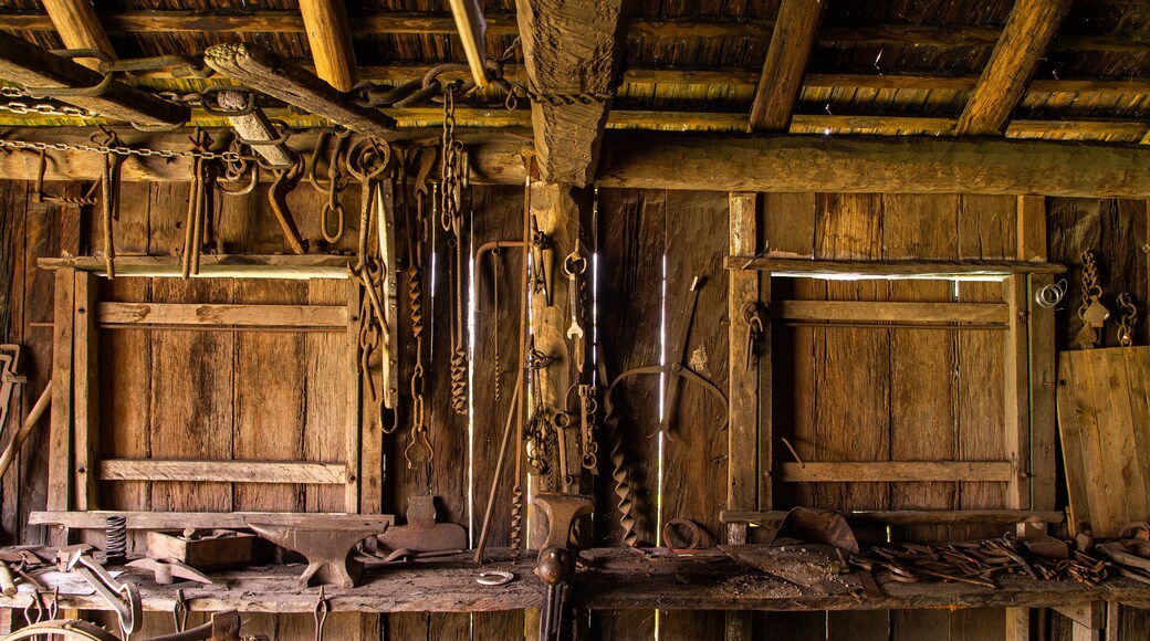 Gympie Gold Mining & Historical Museum