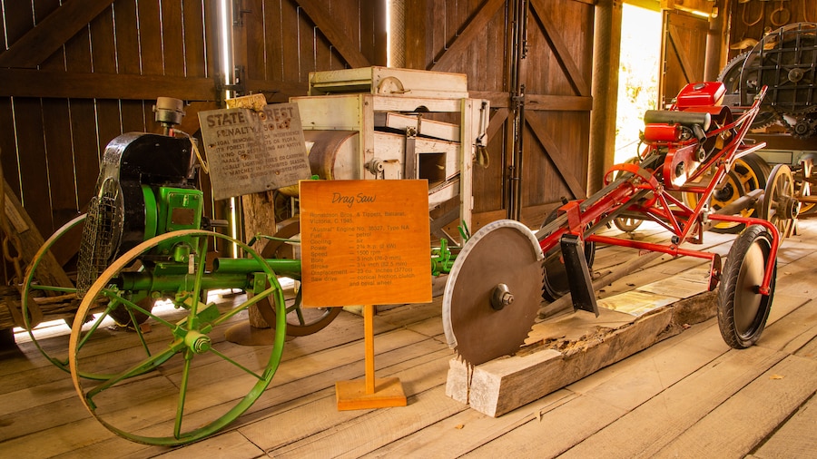 Woodworks Forestry & Timber Museum