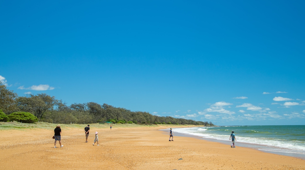 Mon Repos Beach
