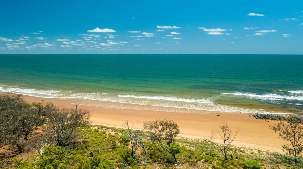 Mon Repos Beach