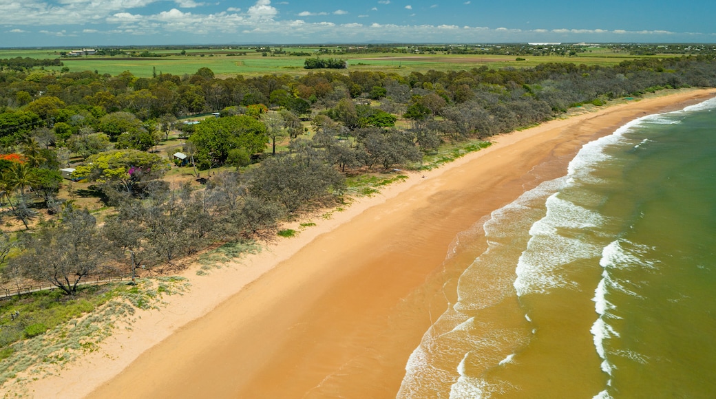 Mon Repos Beach