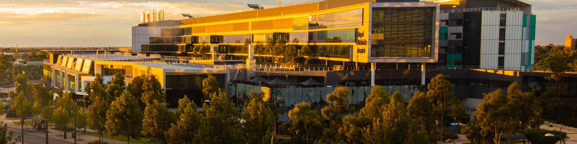 Royal Adelaide Hospital which includes a sunset