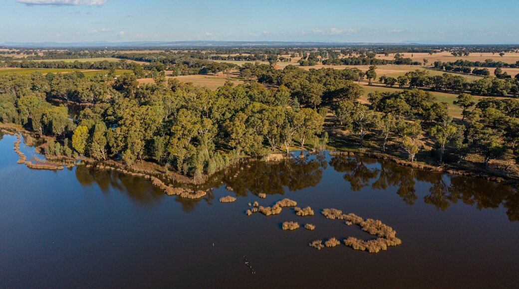 Moodemere Nature Conservation Reserve