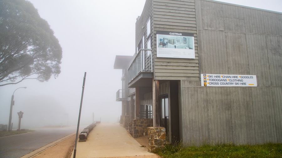 Dinner Plain featuring mist or fog and a small town or village